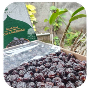 Kurma Ajwa